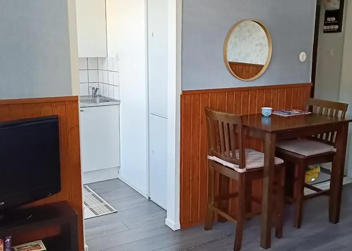 Jaemsaenkoski Keskusta شقة *